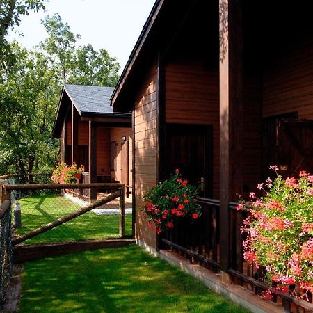 Camping Gavin Hotel Bilik gambar