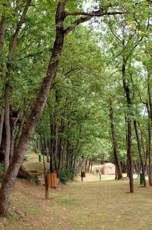 Camping Gavin Hotel Luaran gambar